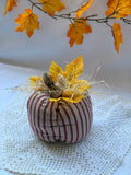 Burdeos a rayas - CALABAZA DECORATIVA