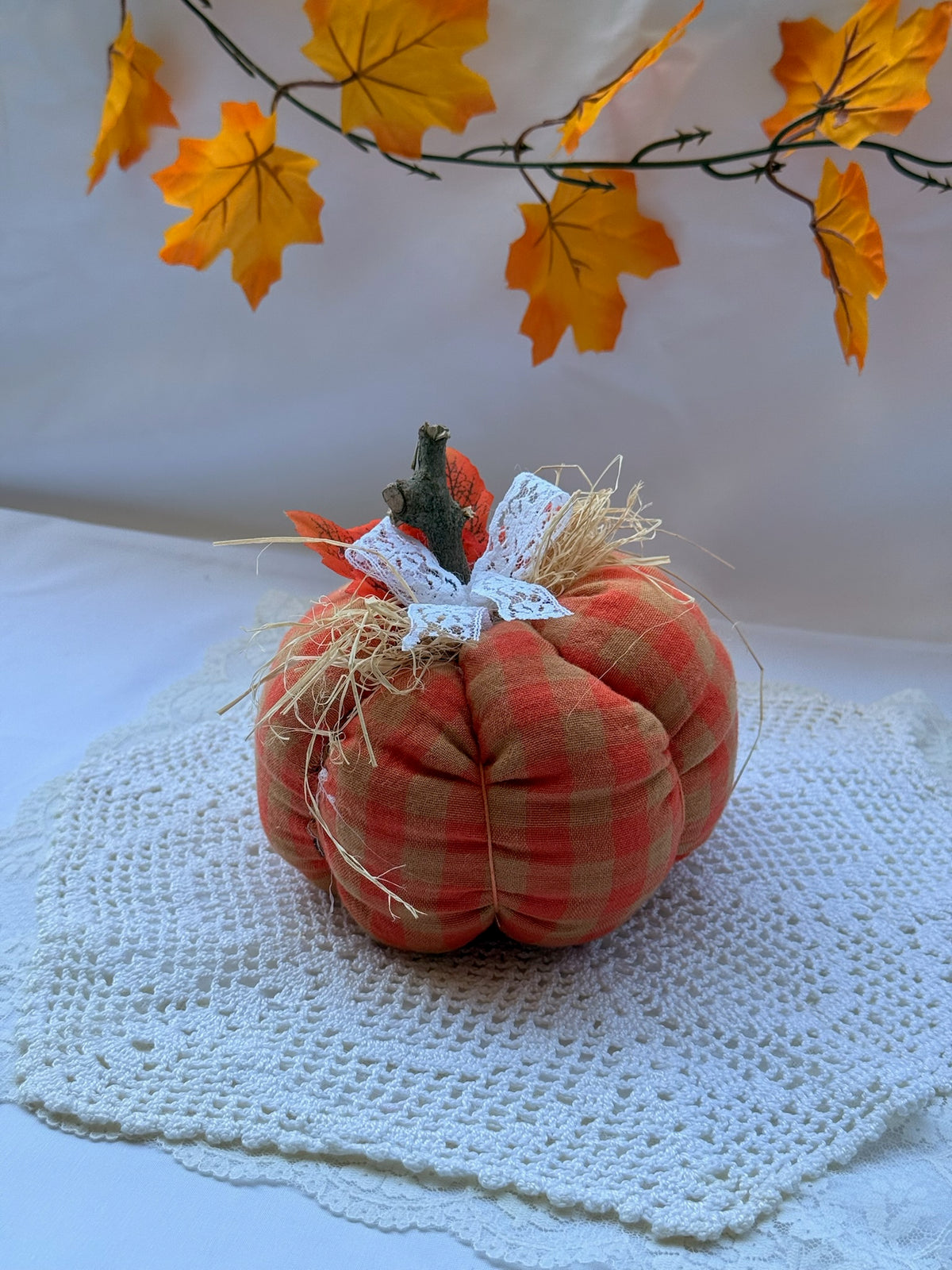 La citrouille d’Ada - CALABAZA DECORATIVA OTOÑO
