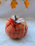 La citrouille d’Ada - CALABAZA DECORATIVA OTOÑO